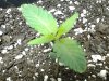 20140418_003939.jpg