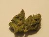 ghosttrain haze.jpg