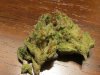 ghosttrain haze2.jpg