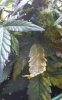 KINDLE_CAMERA_1396352851000.jpg