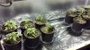 20140424_010748.jpg 20140424_010748.jpg