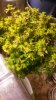 20140424_115247.jpg