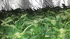 Screenshot_2014-04-24-21-44-32.png