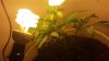 20140425_002456.jpg