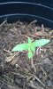 20140425_095558.jpg
