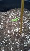 20140425_095610.jpg