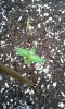 20140425_095616.jpg