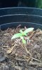 20140425_095855.jpg