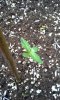 20140425_095913.jpg