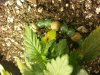 20140425_230655.jpg 20140425_230655.jpg
