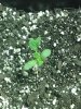 20140427_152915.jpg 20140427_152915.jpg