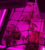 2304 Day 2.JPG