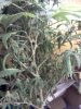IMG063.jpg
