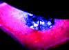 LED-Sprout-1.jpg