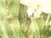 grow journal 053.jpg