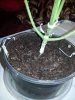20140502_122412.jpg