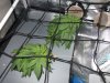 0305 Day 11.JPG