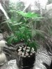 20140502_193804.jpg