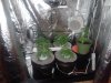 20140428_005909.jpg