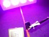 Evergrow 8 spots LED grow light PAR 741 at 50cm.JPG