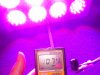 Evergrow 8 spots LED grow light PAR 1074 at 30cm.JPG