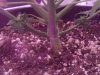 20140502_215634.jpg