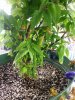 20140508_164410.jpg