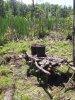 20140503_132942.jpg 20140503_132942.jpg