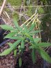 20140508_145510.jpg 20140508_145510.jpg