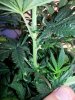 20140510_172344.jpg