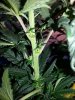 20140510_172454.jpg