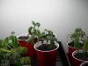 DSCN3866.jpg