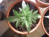 Photo0729.jpg