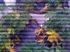 photo.jpg photo.jpg