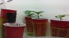 20140512_184613.jpg 20140512_184613.jpg
