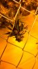 WP_20140513_07_47_14_Pro.jpg