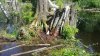 20140513_120422.jpeg