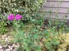 IMG_0007.JPG