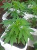 20140517_171601.jpg