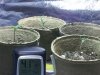 20140517_153513.jpeg