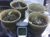 20140518_071745.jpeg