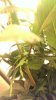 IMAG0481.jpg