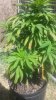20140521_101429.jpg 20140521_101429.jpg