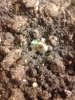 20140522_130856.jpg 20140522_130856.jpg