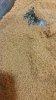 20140514_211925.jpg
