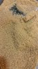 20140514_211955.jpg