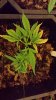 20140524_205256.jpg 20140524_205256.jpg