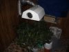 DSCN5561.JPG