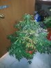 20140528_203022.jpg