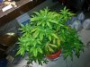 20140528_203142.jpg